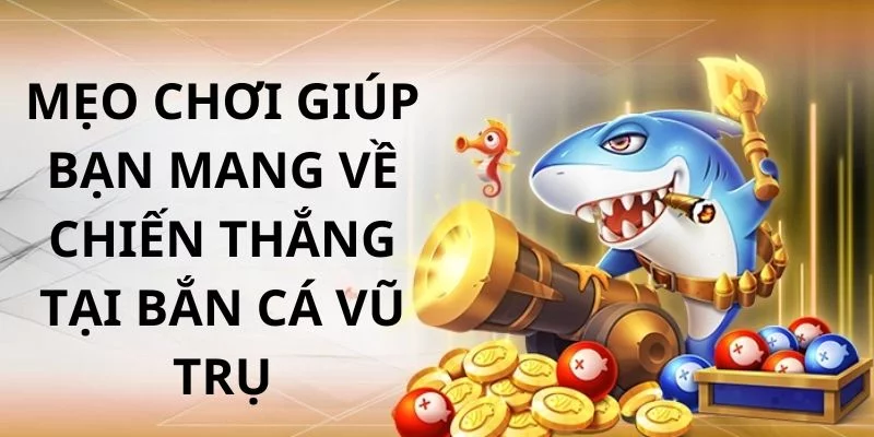 Thành viên nhận được tỷ lệ thưởng siêu cao, dễ thắng Thành viên nhận được tỷ lệ thưởng siêu cao, dễ thắng