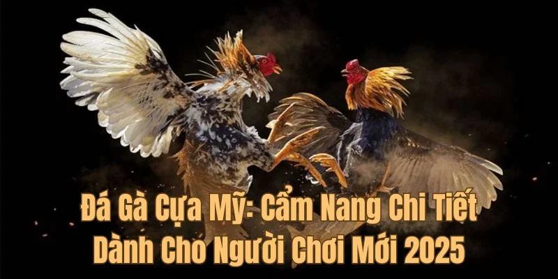 Chiến thuật quan trọng giúp người chơi đạt được lợi nhuận