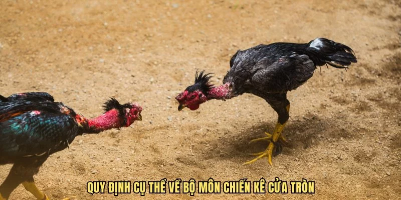 Định nghĩa đá gà cựa tròn là như thế nào